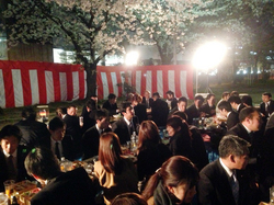 日本トリム本社前公園でのお花見