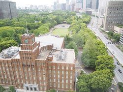 日本トリム東京オフィスからの景色