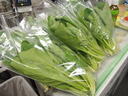 日本トリムの電解水素水で育てた小松菜