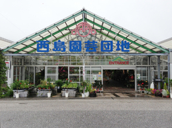 131224kangenyasai.jpg