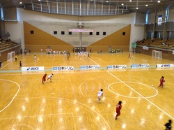 140331trimcup1-3.jpg