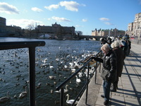 120302sweden4.jpg